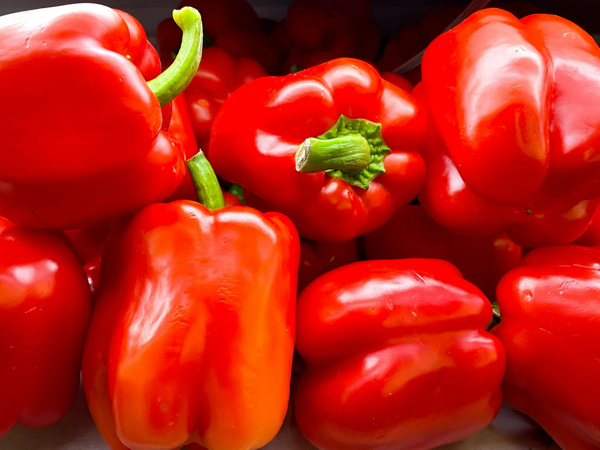 Was unter die Wurzeln von Paprika geben? - Anbau und Dngung von Papri   SetzlingeOnline