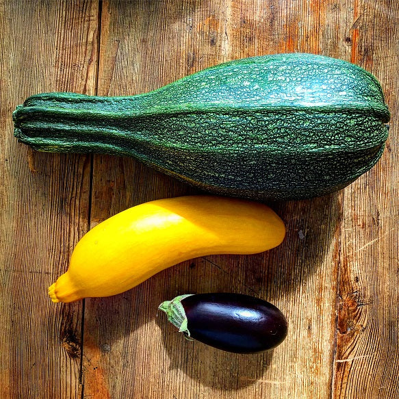 Entdecken Sie unsere robusten Zucchinipflanzen, perfekt für jeden deutschen Garten. Kaufen Sie jetzt hochwertige Zucchini Setzlinge und genießen Sie eine reiche Ernte.