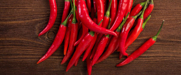 SCHARFE PAPRIKA - SetzlingeOnline