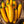 Laden Sie das Bild in den Galerie-Viewer, Zucchinipflanze - Gelbe Zucchini 'Goldena'
