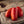 Laden Sie das Bild in den Galerie-Viewer, Tomatenpflanzen - Rote Tomaten - Kmicic