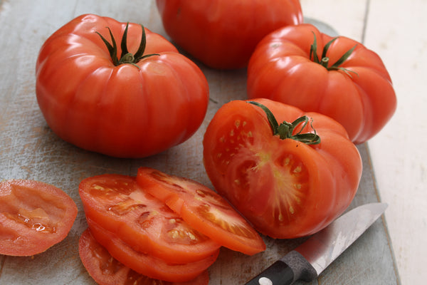 Tomatensetzlinge - Fleischtomate - Maliniak