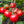 Laden Sie das Bild in den Galerie-Viewer, Tomatenpflanzen - Fleischtomate - Präsident