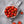 Laden Sie das Bild in den Galerie-Viewer, Tomatenpflanzen - Fleischtomate - Präsident
