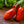 Laden Sie das Bild in den Galerie-Viewer, Tomatenpflanzen - Rote Tomaten - San Marzano