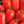 Laden Sie das Bild in den Galerie-Viewer, Lima Tomate - Setzling - SetzlingeOnline