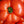 Laden Sie das Bild in den Galerie-Viewer, Riesen-Himbeertomate - Fleischtomate - Setzling - SetzlingeOnline