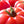 Laden Sie das Bild in den Galerie-Viewer, Setzlinge - Fleischtomate - Warsaw Raspberry - SetzlingeOnline