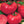 Laden Sie das Bild in den Galerie-Viewer, Setzlinge - Fleischtomate - Warsaw Raspberry - SetzlingeOnline