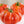 Laden Sie das Bild in den Galerie-Viewer, Tomatenpflanzen - Fleischtomate - Himbeer-Riese - SetzlingeOnline