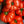 Laden Sie das Bild in den Galerie-Viewer, Tomatenpflanzen - Fleischtomate - Himbeer-Riese - SetzlingeOnline