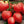 Laden Sie das Bild in den Galerie-Viewer, Tomatenpflanzen - Fleischtomate - Ochsenherz F1 - SetzlingeOnline