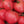 Laden Sie das Bild in den Galerie-Viewer, Tomatenpflanzen - Fleischtomate - Rodeo Raspberry - SetzlingeOnline