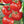 Laden Sie das Bild in den Galerie-Viewer, Tomatenpflanzen - Rote Tomaten - Baron - SetzlingeOnline
