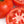 Laden Sie das Bild in den Galerie-Viewer, Tomatenpflanzen - Rote Tomaten - Baron - SetzlingeOnline