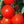 Laden Sie das Bild in den Galerie-Viewer, Tomatenpflanzen - Rote Tomaten - Betalux - SetzlingeOnline