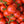 Laden Sie das Bild in den Galerie-Viewer, Tomatenpflanzen - Rote Tomaten - Betalux - SetzlingeOnline