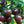 Laden Sie das Bild in den Galerie-Viewer, Tomatenpflanzen - Schwarze Tomaten - Noire De Crimee – Schwarzer Prinz - SetzlingeOnline