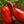 Laden Sie das Bild in den Galerie-Viewer, Tomatensetzlinge - Fleischtomate - San Marzano F1 - SetzlingeOnline