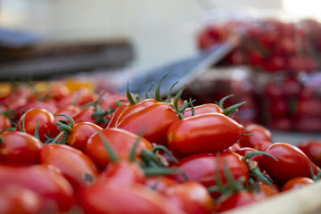 Schritt für Schritt: Vorbereitung des Bodens für die Tomatenpflanzung in der neuen Saison