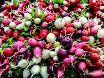 Beizen von Tomatensamen vor der Aussaat - Ausgezeichnete Methoden für reiche Erträge