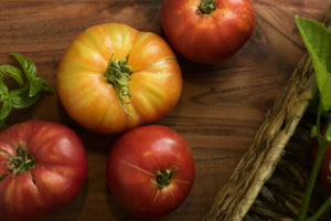 Exotische Tomatensamen - Entdecken Sie einzigartige Sorten für Ihren Garten und Balkon