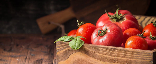 Alle Arten von Tomaten - SetzlingeOnline