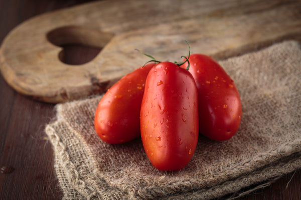 Tomatenpflanzen - Rote Tomaten - Kmicic