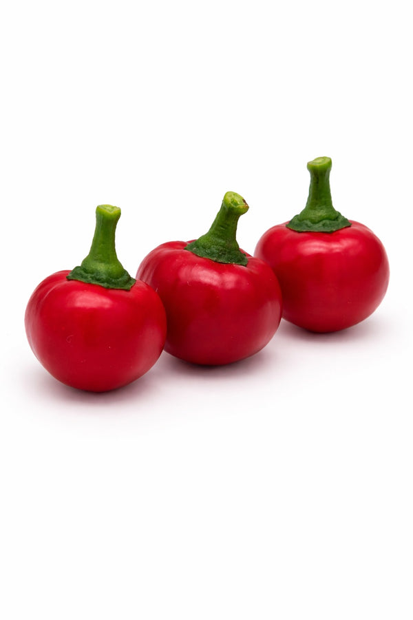 Pfefferpflanze – Scharfer Kirschenpaprika