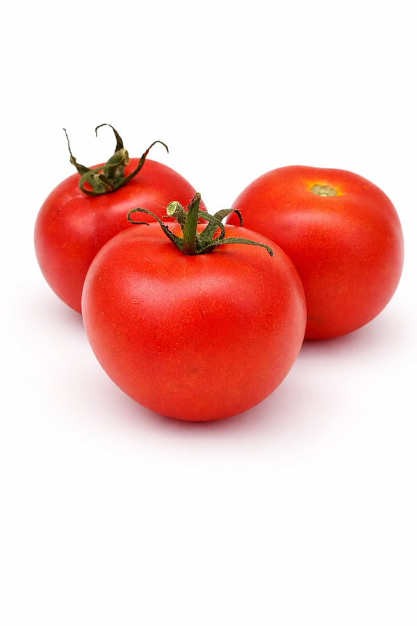 Tomatensetzlinge - Rote Tomaten - Betalux