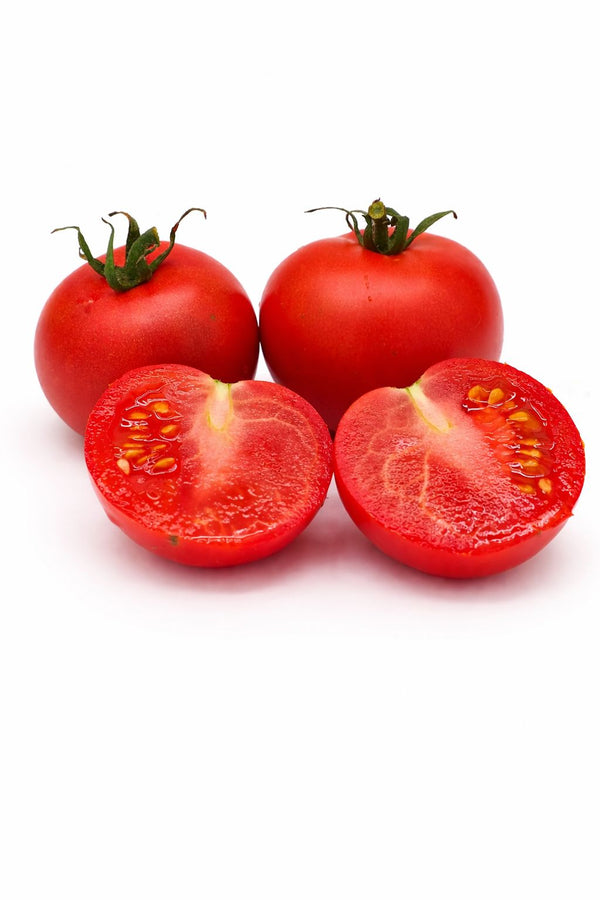 Tomatensetzlinge - rote Tomaten - Krakus