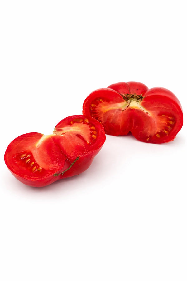 Tomatenpflanze - rote Tomate - Marmande