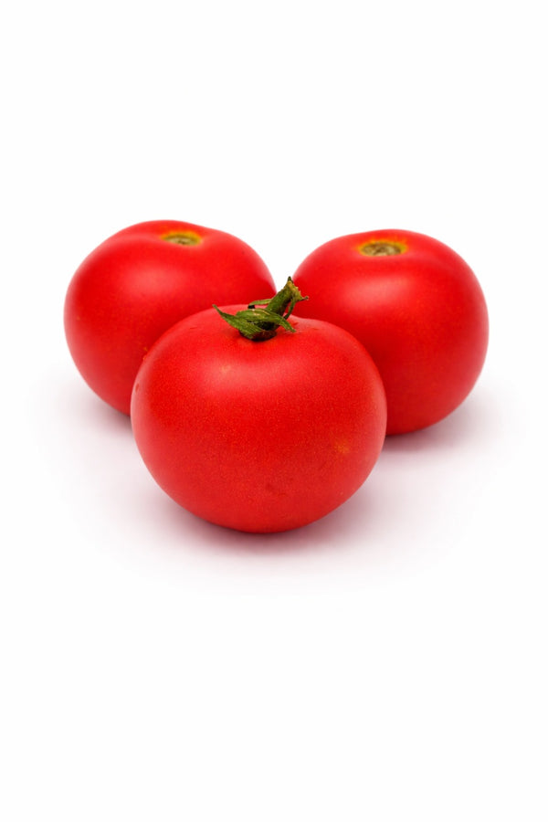 Tomatenpflanzen - Rote Tomaten - Tolek
