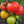 Laden Sie das Bild in den Galerie-Viewer, Tomatenpflanzen - Rote Tomaten - Tolek
