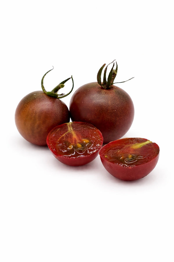 Black Cherry - Tomate - Setzling