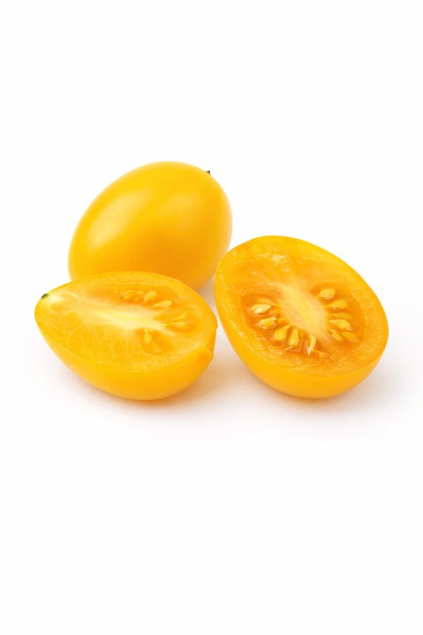 Tomatenpflanzen - Kirschtomaten - Gelbe Birne Cherrytomate