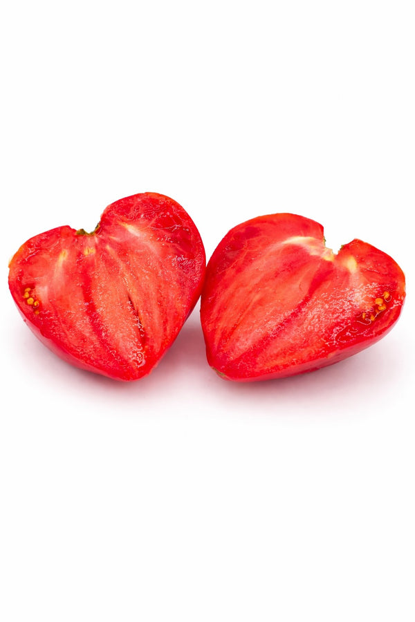 Tomatensetzlinge - Fleischtomate - Ochsenherz F1