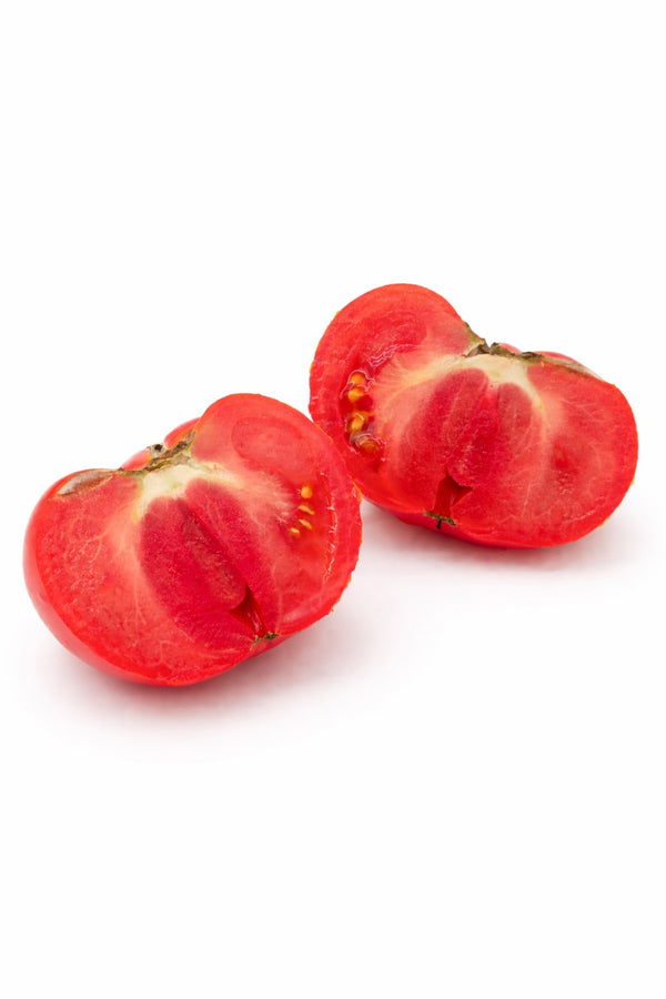 Tomatenpflanzen - Fleischtomate - Favorit