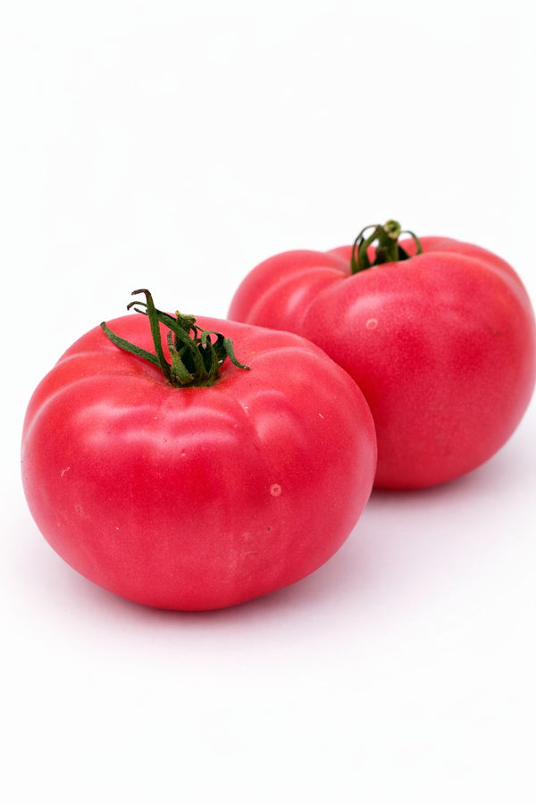 Tomatenpflanzen - Fleischtomate - Himbeere Ozarowski