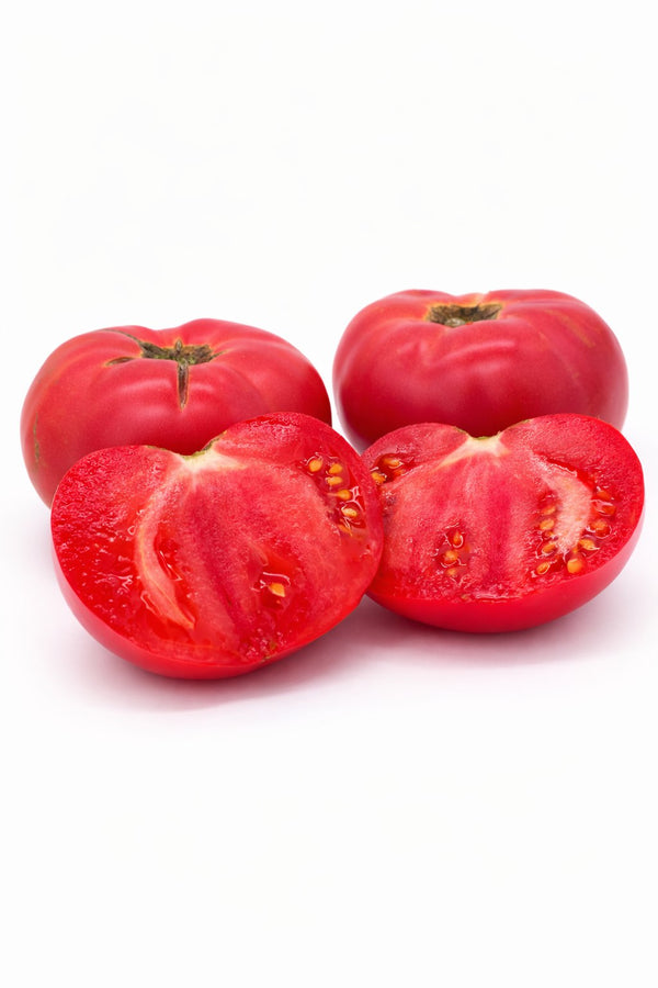 Tomatenpflanzen - Fleischtomate - Präsident