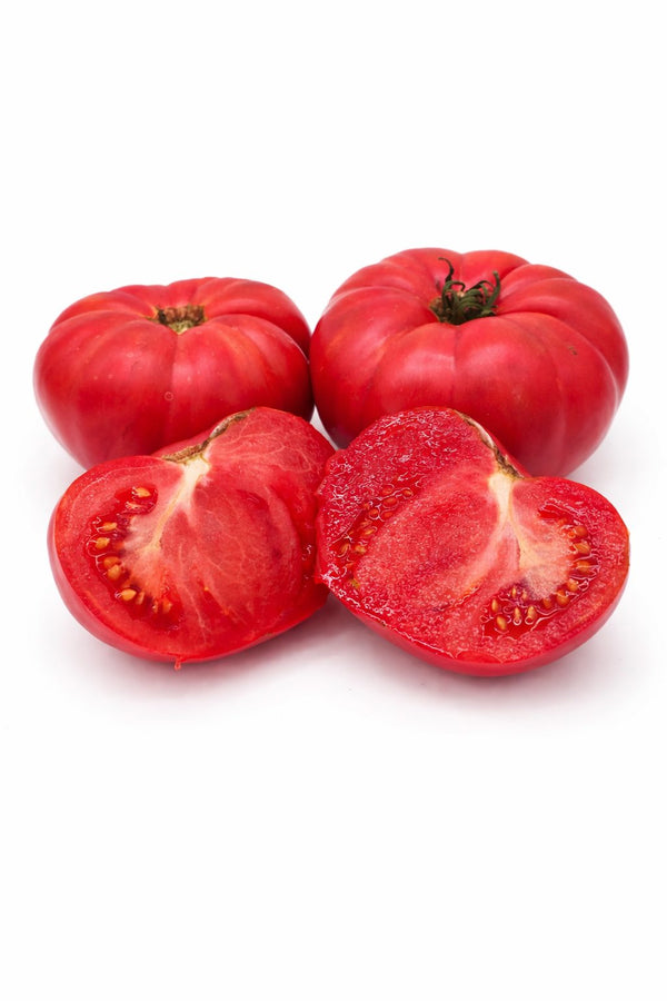 Setzlinge - Fleischtomate - Warsaw Raspberry