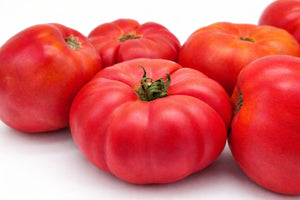 Setzlinge - Fleischtomate - Warsaw Raspberry