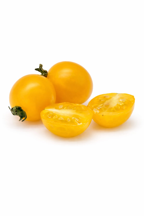 Tumbling Tom Yellow - Cocktailtomate - Tomatensetzlinge