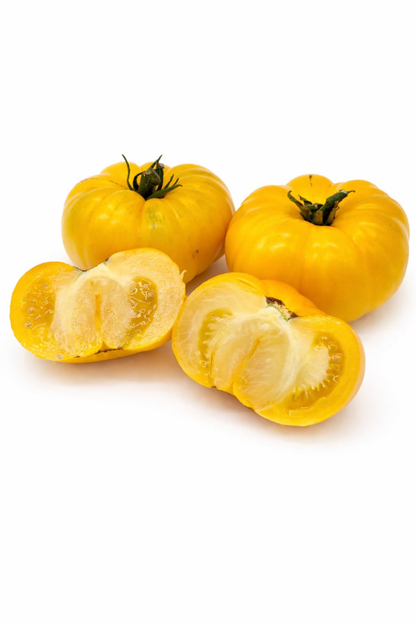 Tomatenpflanzen - Gelbe Tomaten - Golden Ozarowski