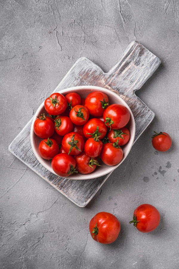 Tomatenpflanzen - Fleischtomate - Präsident
