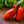 Laden Sie das Bild in den Galerie-Viewer, Tomatensetzlinge - Rote Tomaten - San Marzano
