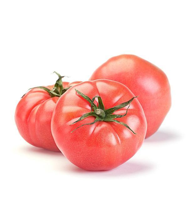 Tomatenpflanzen - Fleischtomate - Favorit - SetzlingeOnline