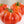 Laden Sie das Bild in den Galerie-Viewer, Tomatenpflanzen - Fleischtomate - Himbeer-Riese - SetzlingeOnline
