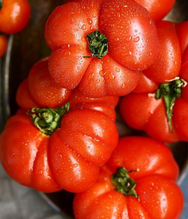 Tomatenpflanzen - Fleischtomate - Himbeer-Riese - SetzlingeOnline