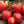 Laden Sie das Bild in den Galerie-Viewer, Tomatenpflanzen - Fleischtomate - Ochsenherz F1 - SetzlingeOnline

